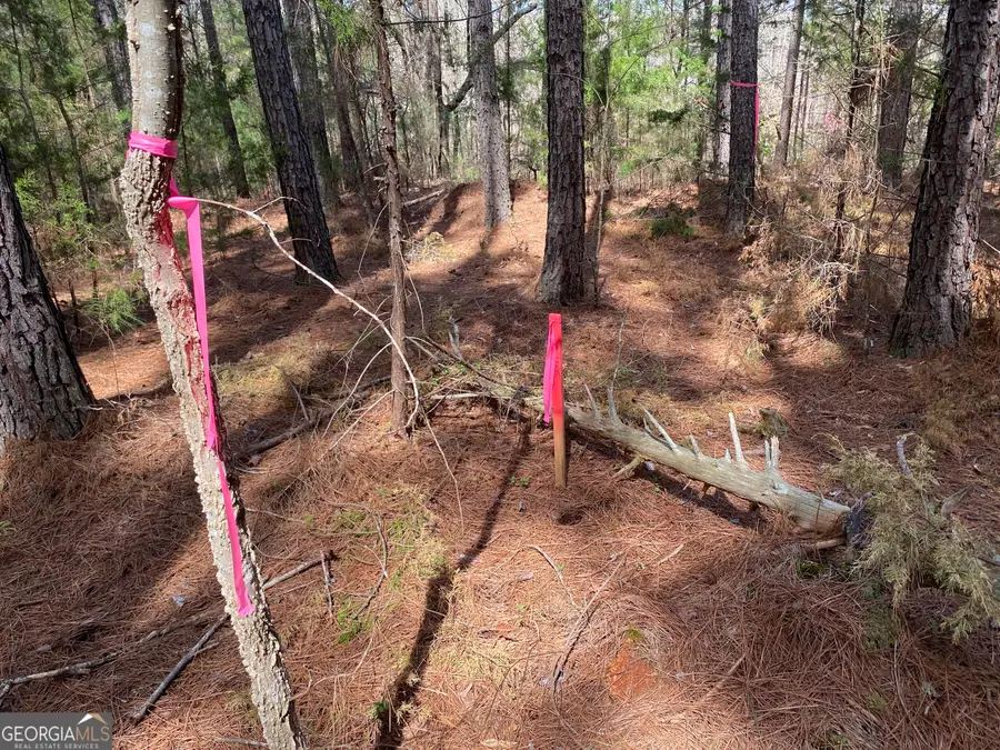 LOT 14 Utah Drive, Elberton, GA 30635 - Image #3