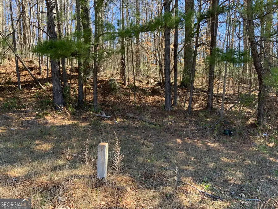 2324 Carrington Drive, Ellenwood, GA 30294 - Image #3