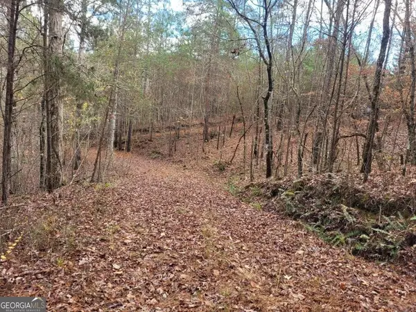 18.22 Talona Road, Ellijay, GA 30540