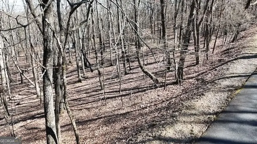 125 Grey Eagle Drive, Waleska, GA 30183 - Image #3