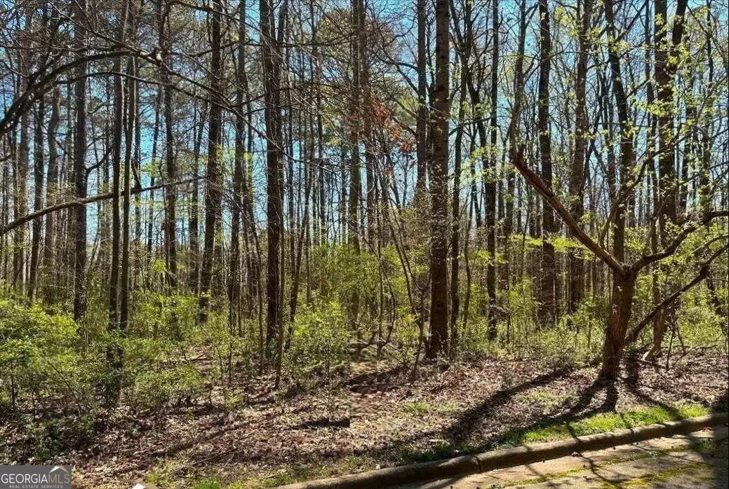 4310 Loveless Place, Ellenwood, GA 30294 - Image #1