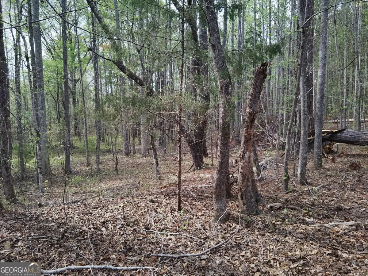 75 Lee Lane, Greenville, GA 30222 - Image #1