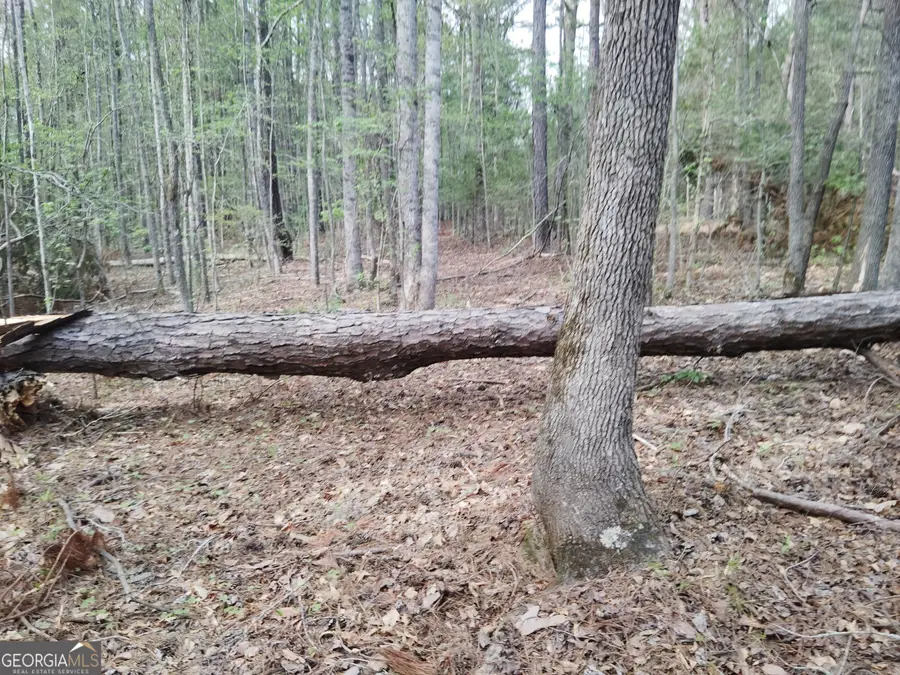 75 Lee Lane, Greenville, GA 30222 - Image #2