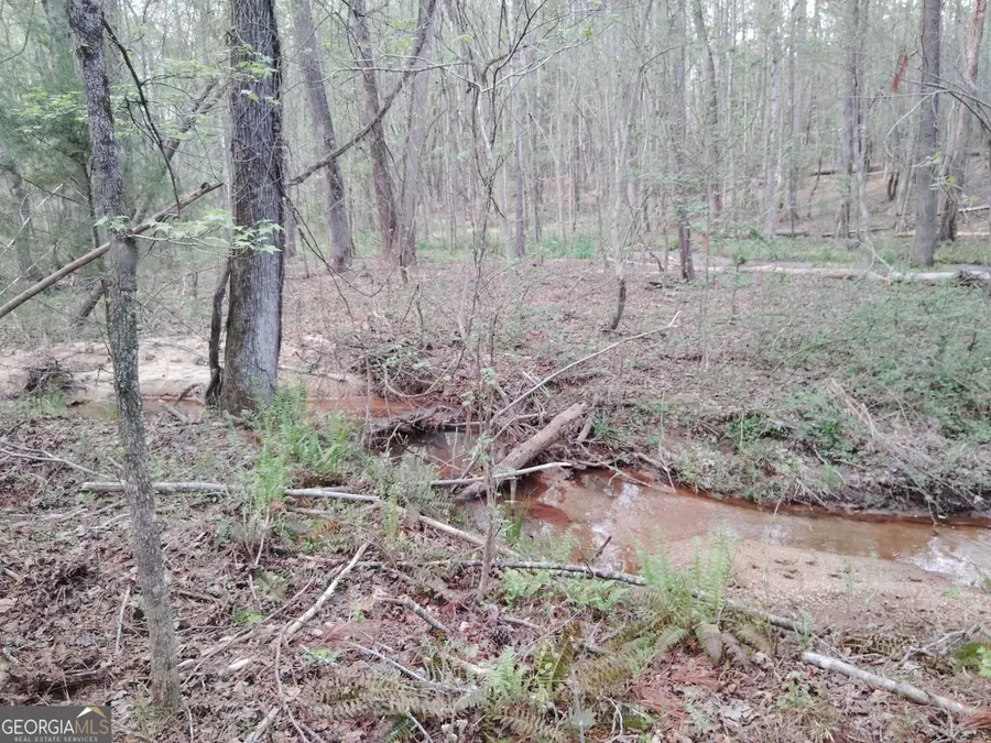 75 Lee Lane, Greenville, GA 30222 - Image #3