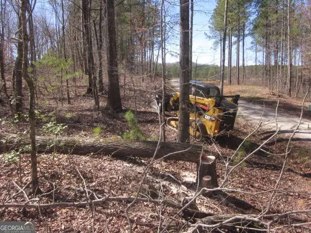 0 Bear Creek Road, Talking Rock, GA 30175 - Image #3