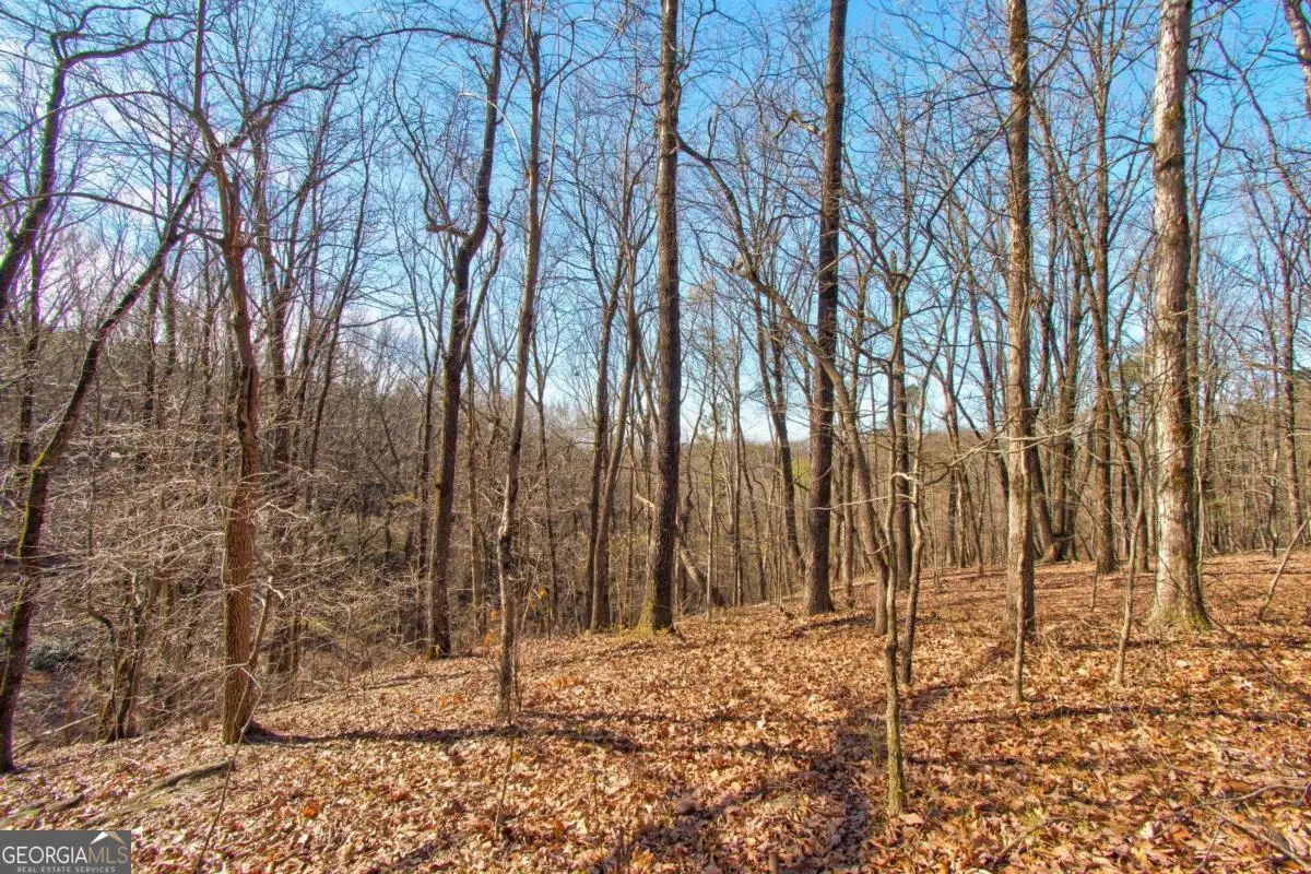 500 Chapman Ridge Lane, Dahlonega, GA 30533 - Image #1