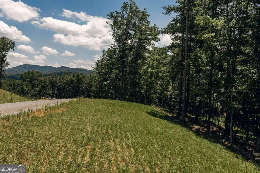 LT 133 Ridges Of Blue Ridge, Morganton, GA 30560 - Image #3