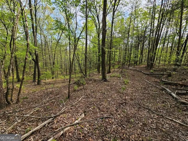 0 Talc Mine, Jasper, GA 30143 - #3