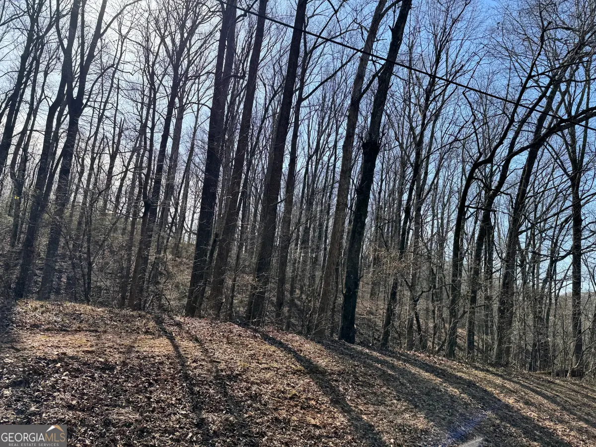 0 Wall Road, Winder, GA 30680 - Image #1