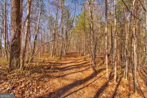 27.68 Chapman Ridge Lane, Dahlonega, GA 30533 - Image #1