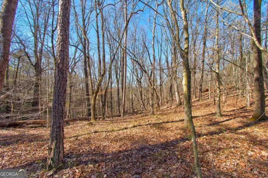 27.68 Chapman Ridge Lane, Dahlonega, GA 30533 - Image #3