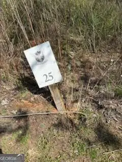 0 Eastside Drive, Ellijay, GA 30536 - Image #3