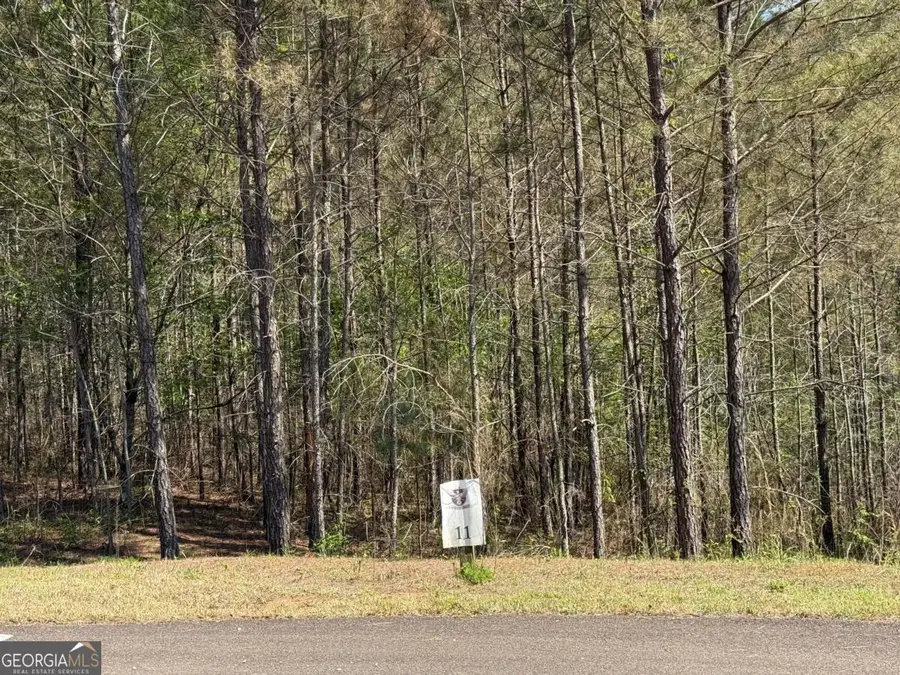 0 Eastview Trail, Ellijay, GA 30536 - Image #2