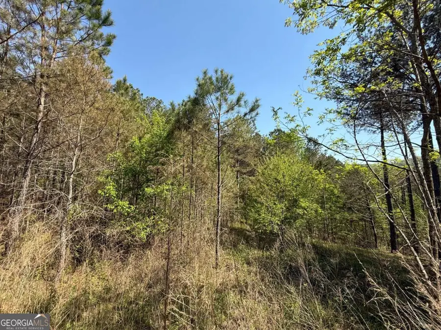 0 Eastview Trail, Ellijay, GA 30536 - Image #3