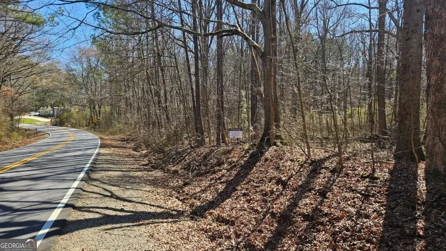 0 Cook Drive, Ellenwood, GA 30294 - Image #2