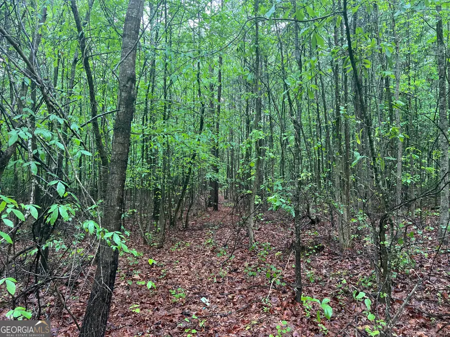 3735 Sw Millstream Lane, Stockbridge, GA 30281 - Image #3