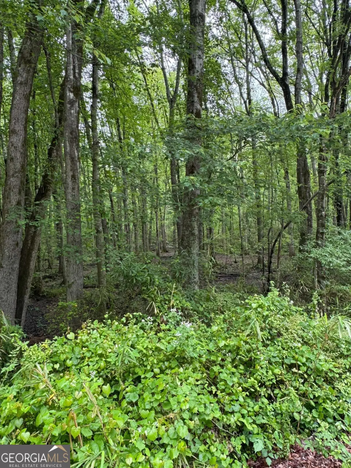 0 Friendship Church Road Sw, Marietta, GA 30064 - Image #1