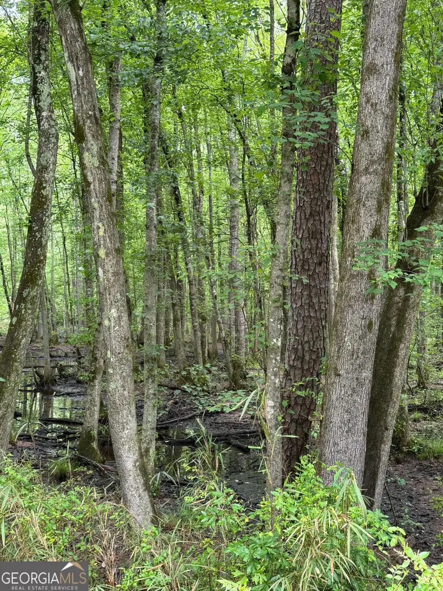 0 Friendship Church Road Sw, Marietta, GA 30064 - Image #2