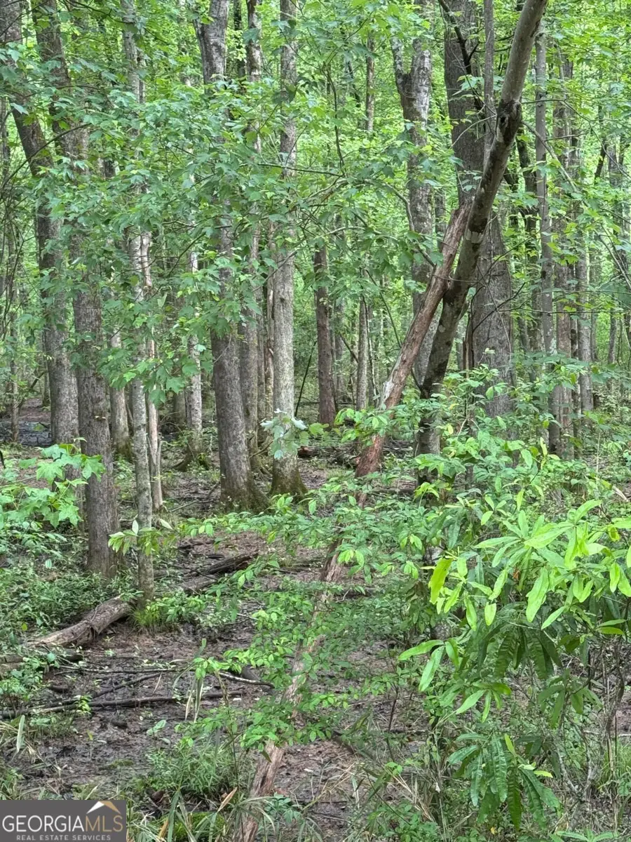 0 Friendship Church Road Sw, Marietta, GA 30064 - Image #3