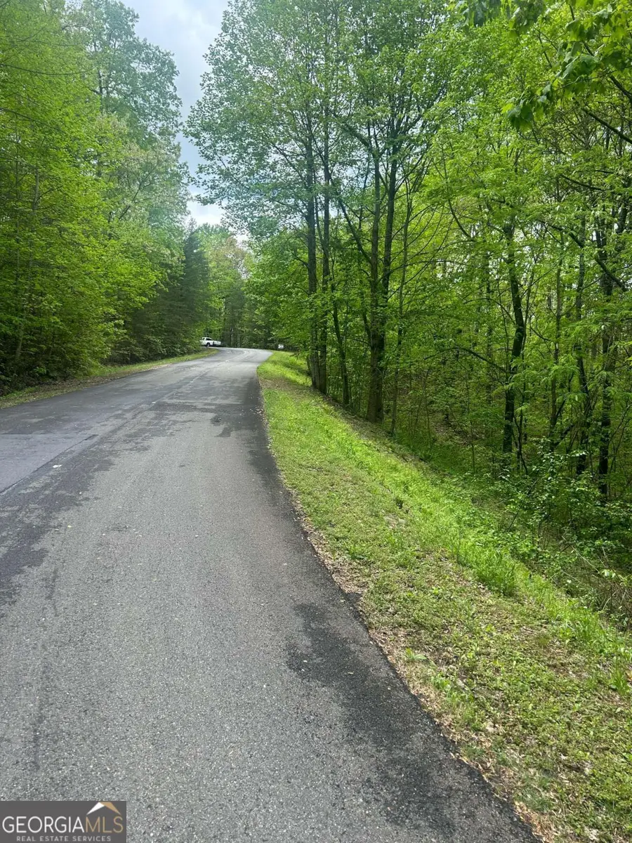 137 St Andrews Way, Ellijay, GA 30536 - Image #2