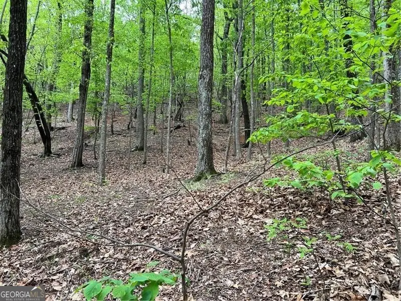 387 Windflower Drive, Big Canoe, GA 30143 - Image #2