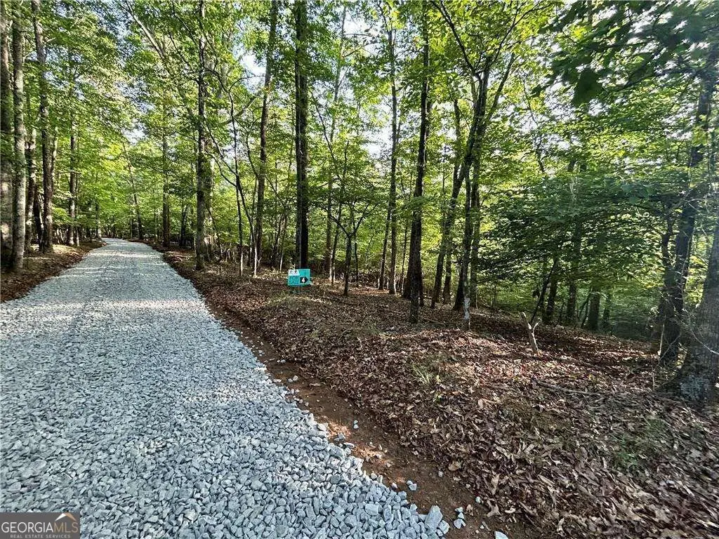 03 Kate Road, Dahlonega, GA 30533 - Image #1