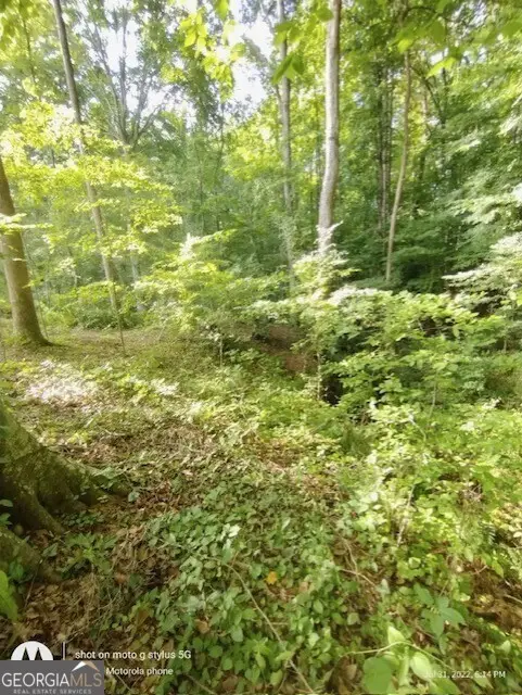 620 Ivy Creek Drive, Nicholson, GA 30565 - Image #1