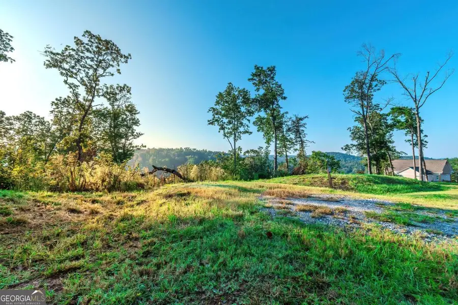 LOT 50 Jakes Landing Way S, Ellijay, GA 30540 - Image #3