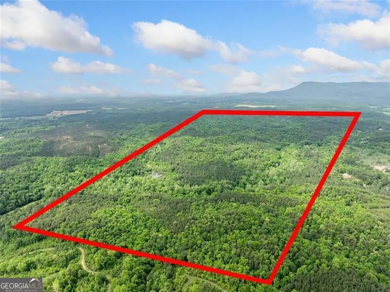 0 Conniston, Chatsworth, GA 30705 - Image #2