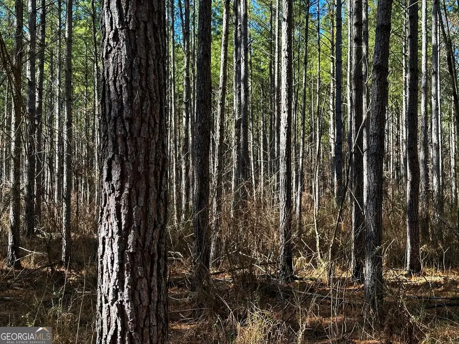 0 Conniston, Chatsworth, GA 30705 - Image #3