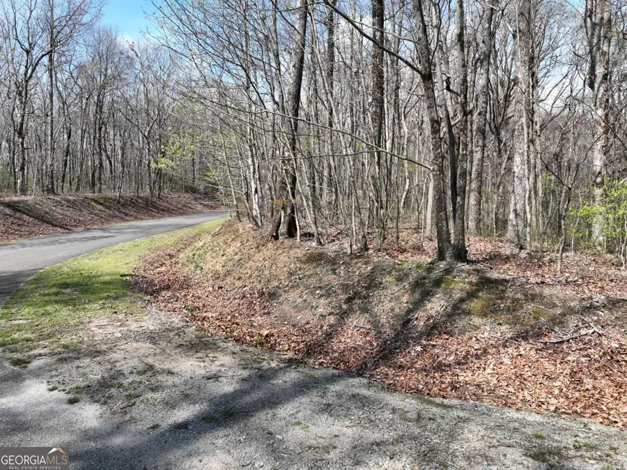 189 St Andrews Way, Ellijay, GA 30536 - Image #2