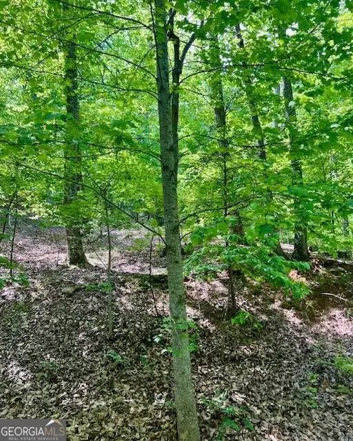 220 Yanegwa Knoll, Dawsonville, GA 30534 - Image #1