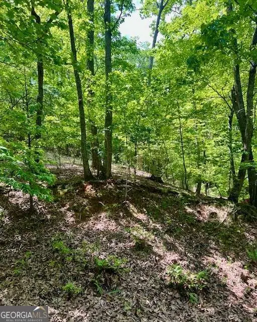 220 Yanegwa Knoll, Dawsonville, GA 30534 - Image #2