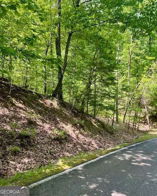 220 Yanegwa Knoll, Dawsonville, GA 30534 - Image #3