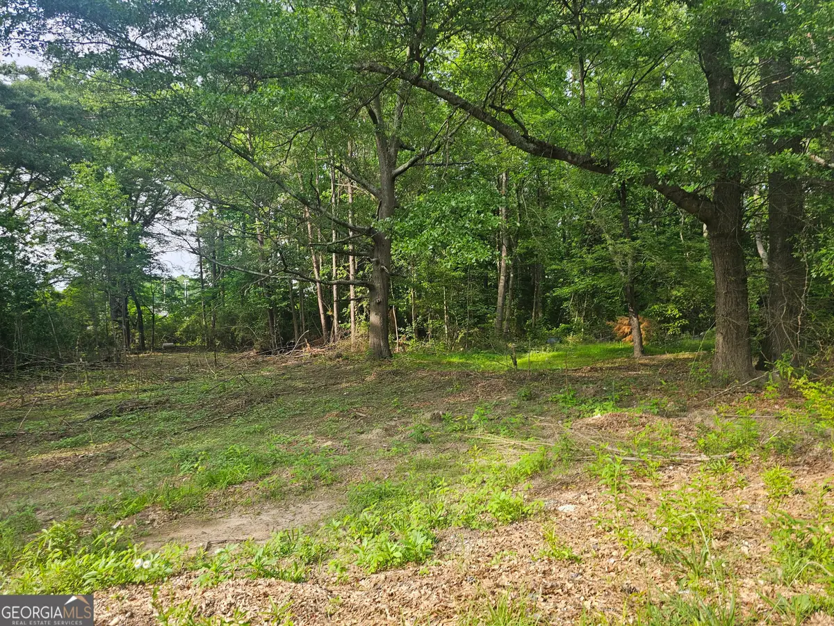 4492 Long Street, Powder Springs, GA 30127 - Image #1