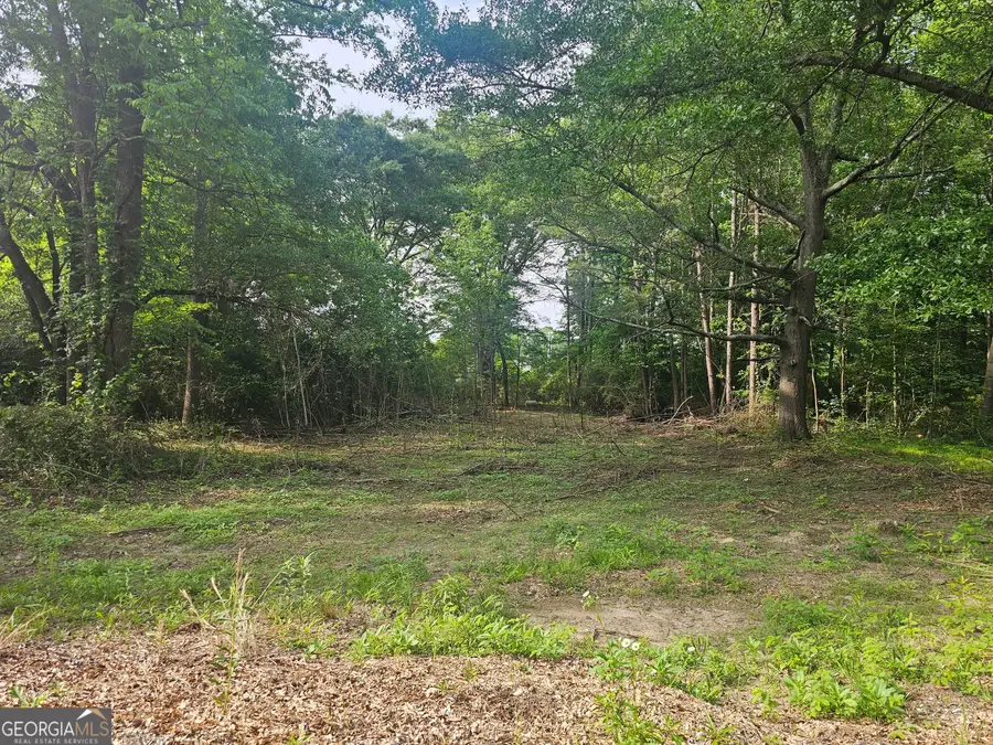 4492 Long Street, Powder Springs, GA 30127 - Image #2