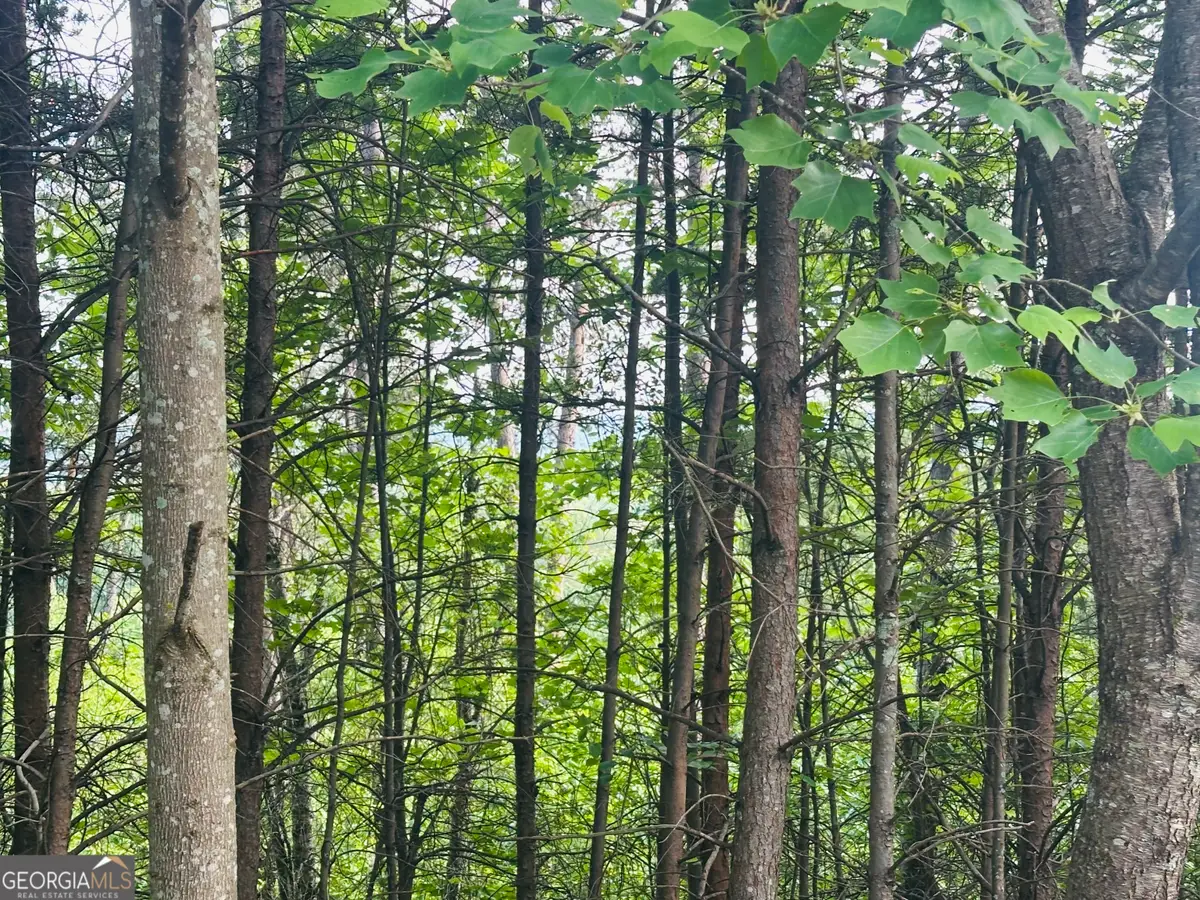 LOT 30 Crown Mountain Way, Dahlonega, GA 30533 - Image #1