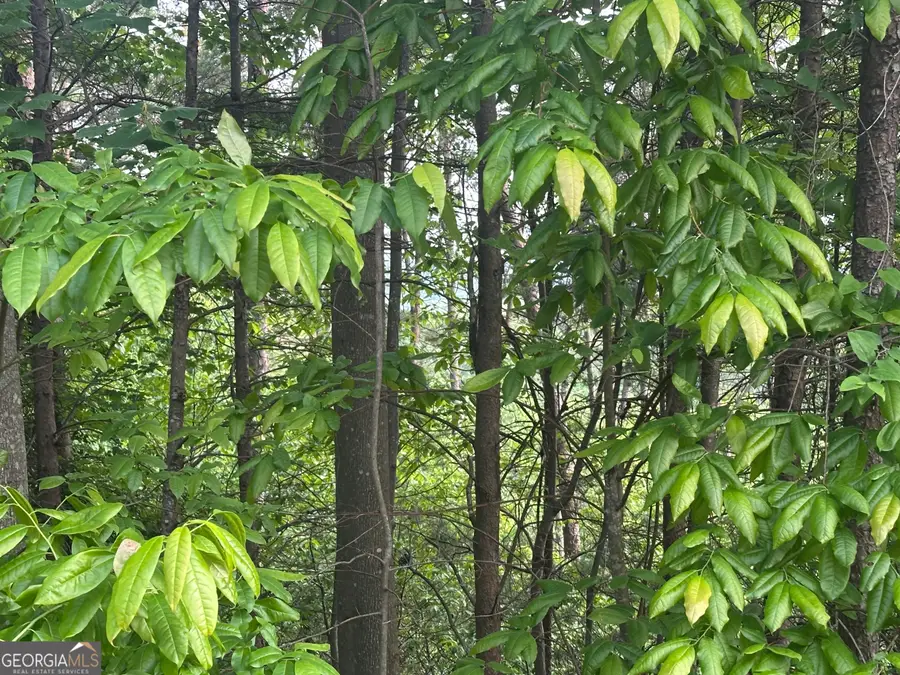 LOT 30 Crown Mountain Way, Dahlonega, GA 30533 - Image #3