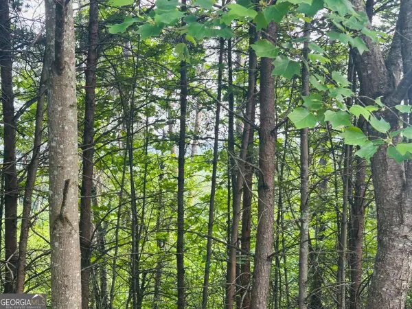 LOT 28 Crown Mountain Way, Dahlonega, GA 30533