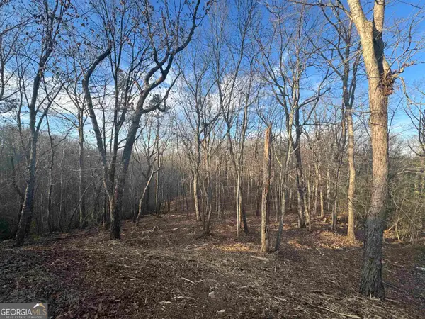 LOT 57 Teel Mtn Drive, Cleveland, GA 30528