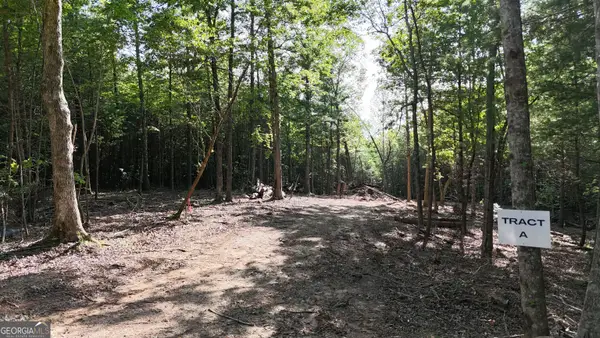 TR A East New Hope Road, Ellijay, GA 30536