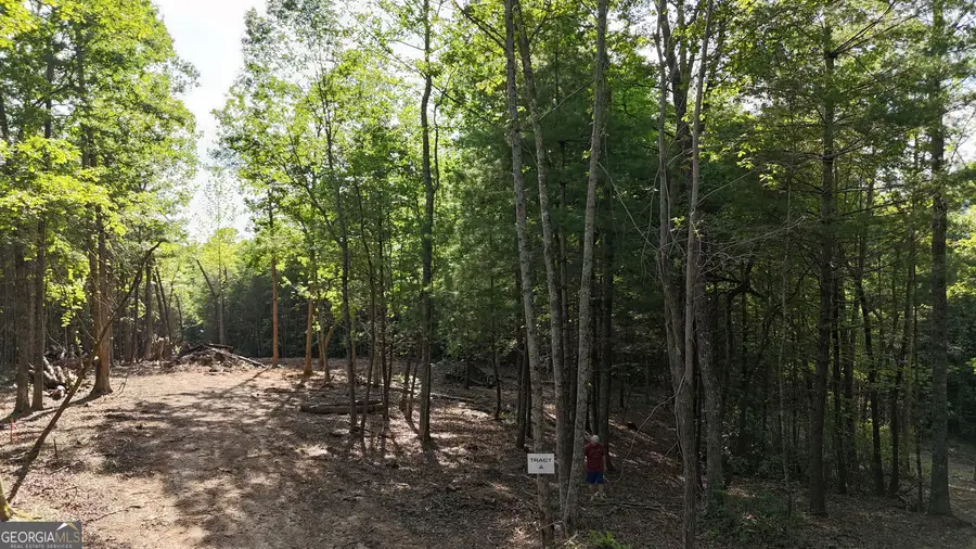 TR A East New Hope Road, Ellijay, GA 30536 - Image #3