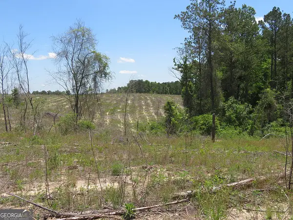 0 B Pineville Road, Buena Vista, GA 31803