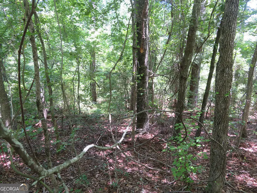 0 B Pineville Road, Buena Vista, GA 31803 - #2