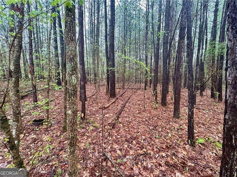 0 Walker Mountain Road Sw, Rome, GA 30161 - Image #3