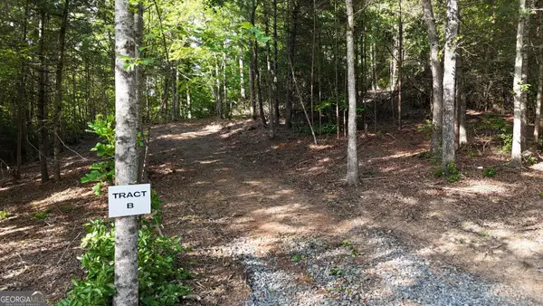 TR B East New Hope Road, Ellijay, GA 30536