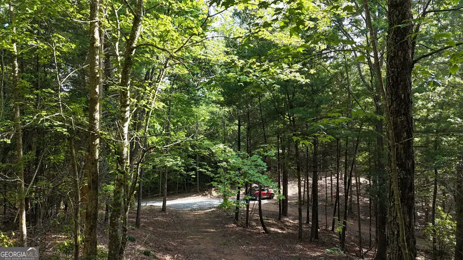 TR B East New Hope Road, Ellijay, GA 30536 - Image #3