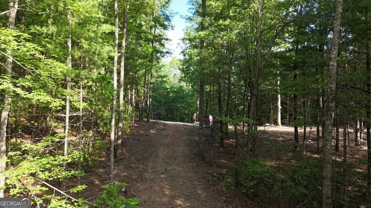 TR 2 East New Hope Road, Ellijay, GA 30536 - Image #1