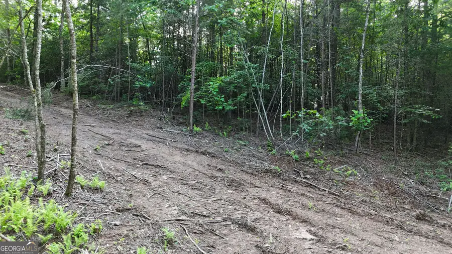 TR 2 East New Hope Road, Ellijay, GA 30536 - Image #3