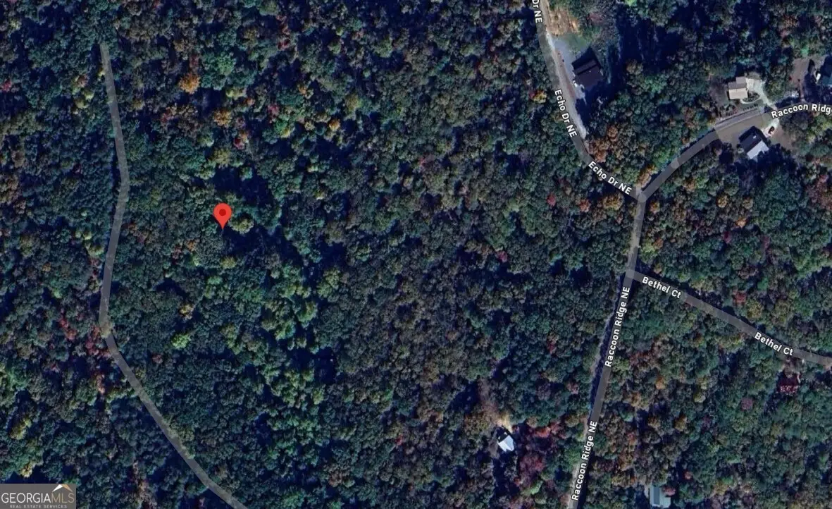 1009 N Cut Drive, Ranger, GA 30734 - Image #1